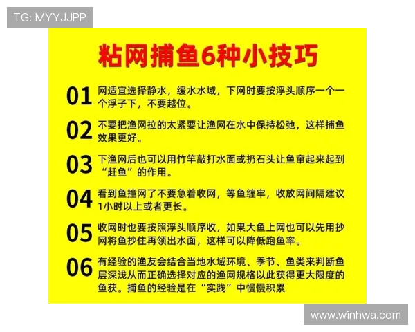 新手必看：PA捕鱼网投游戏规则解析与实用游戏技巧分享