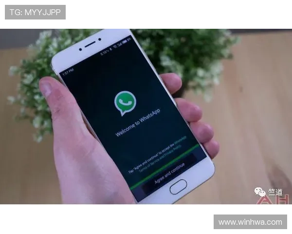 轻松获取agapp官方下载，教你快速下载安装全攻略