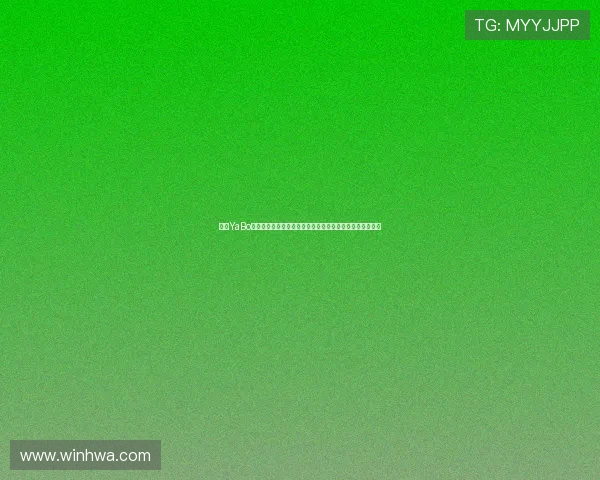 亚博YaBo手机登录入口最新更新，详细介绍登录步骤与安全保障措施